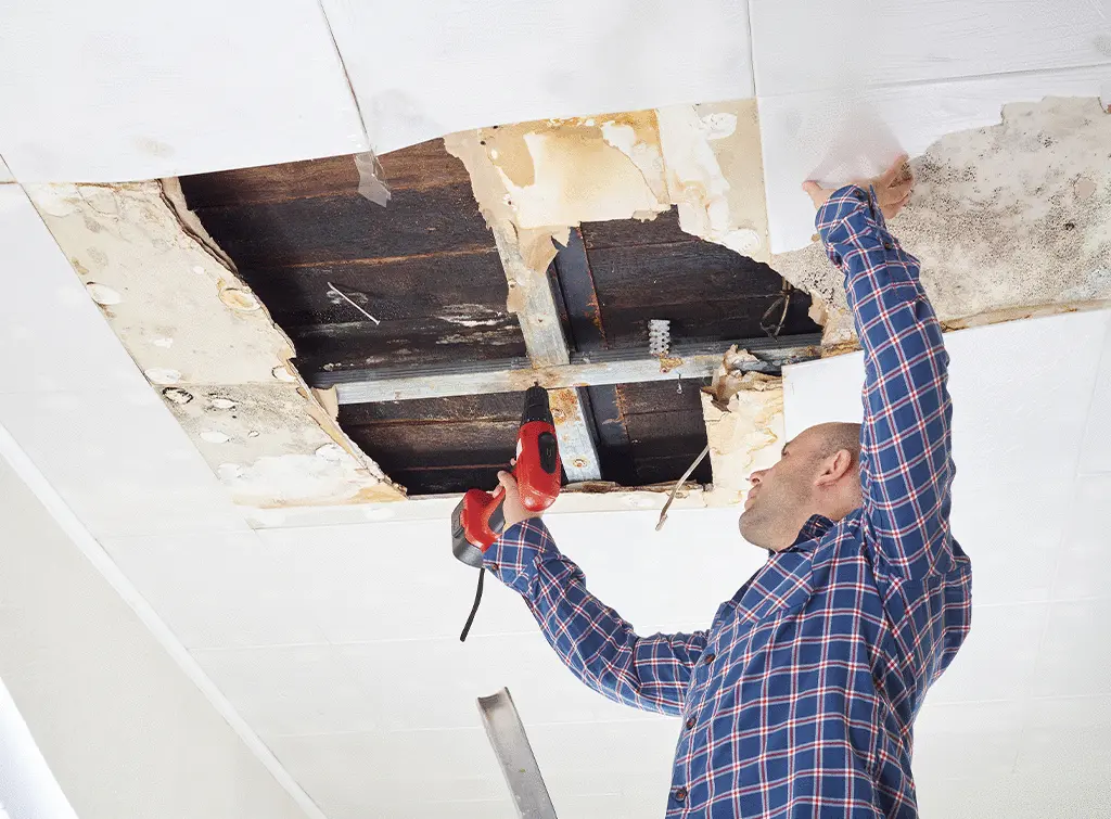 Ceiling Repairs