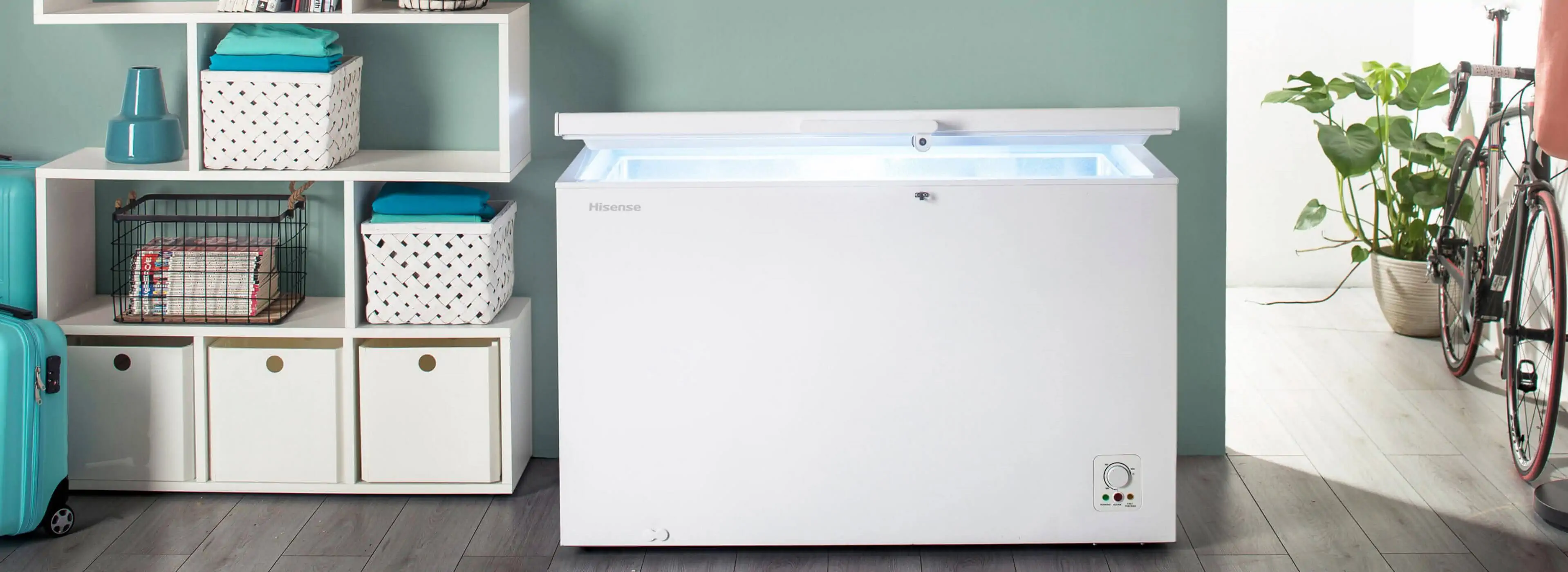 Freezer & Appliances